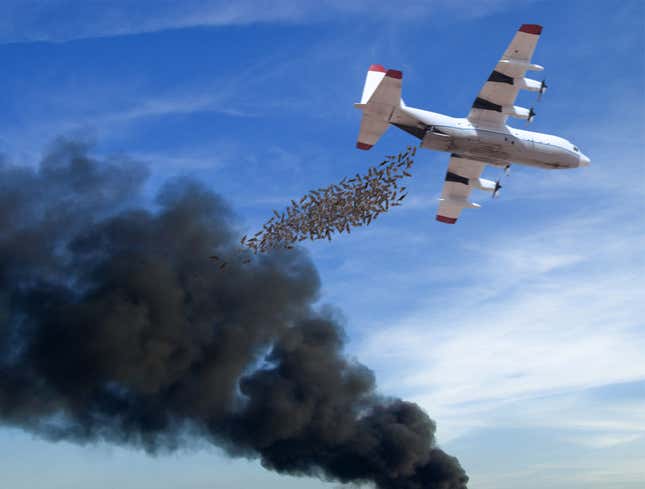 Image for article titled Shell Dumps 15 Tons Of Otters From Airplane To Put Out Burning Oil Field